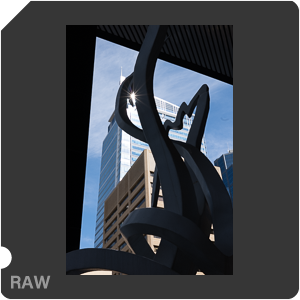 RAW sample