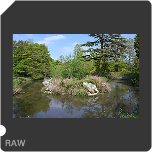 RAW sample