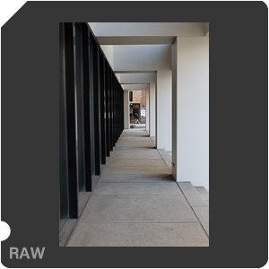 RAW sample