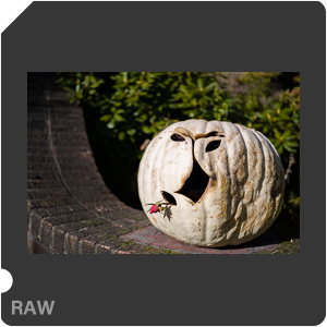 RAW sample