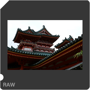 RAW sample