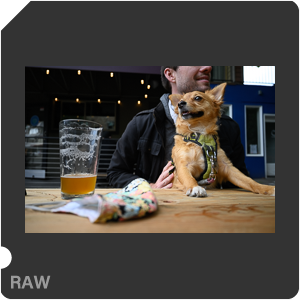 RAW sample