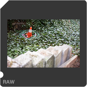 RAW sample