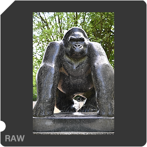 RAW sample