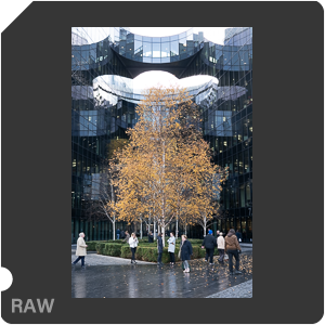 RAW sample
