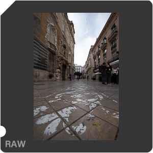 RAW sample