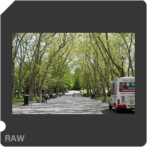 RAW sample