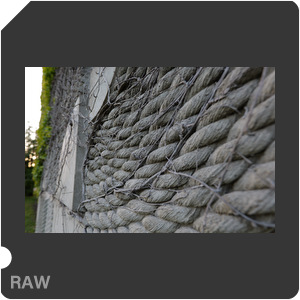 RAW sample
