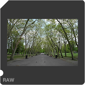 RAW sample