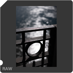 RAW sample