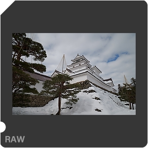 RAW sample