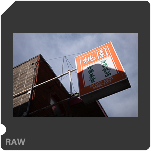 RAW sample