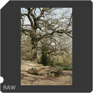 RAW sample