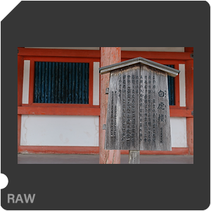 RAW sample