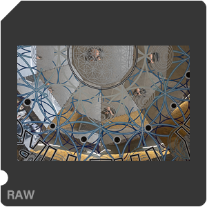 RAW sample