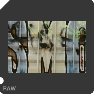 RAW sample