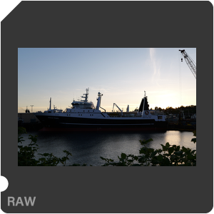 RAW sample