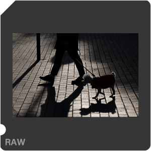 RAW sample