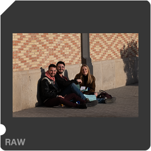 RAW sample