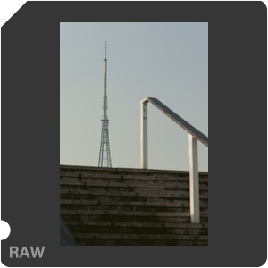 RAW sample