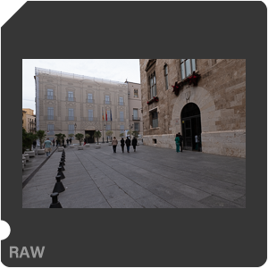 RAW sample