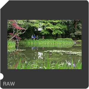 RAW sample