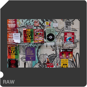 RAW sample