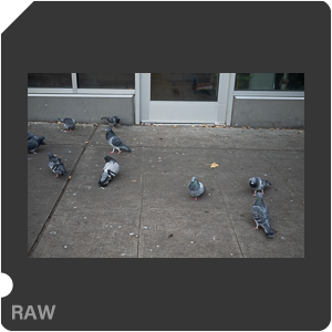 RAW sample