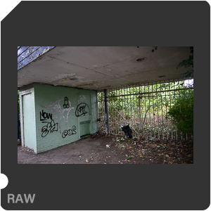 RAW sample