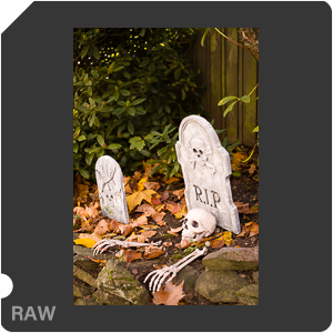 RAW sample