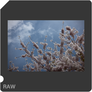 RAW sample