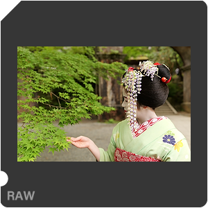 RAW sample