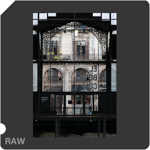 RAW sample