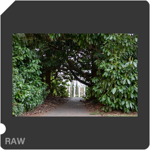 RAW sample
