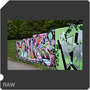 RAW sample