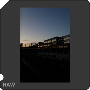 RAW sample