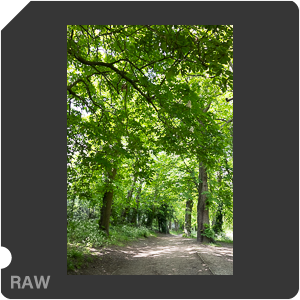 RAW sample