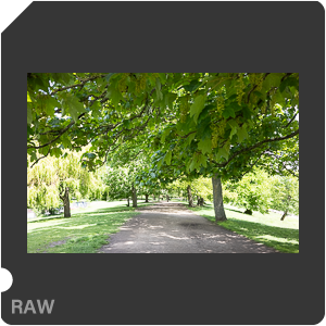 RAW sample