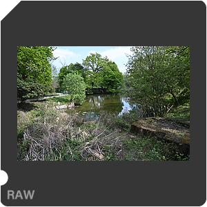RAW sample