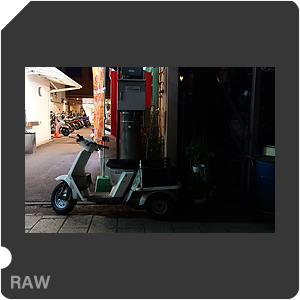 RAW sample