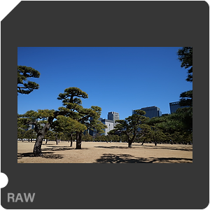 RAW sample