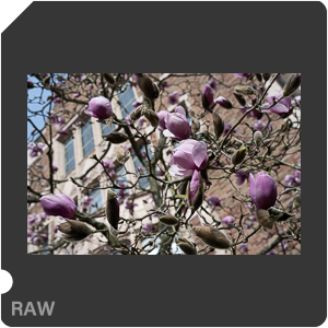 RAW sample