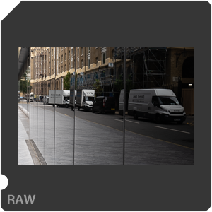 RAW sample