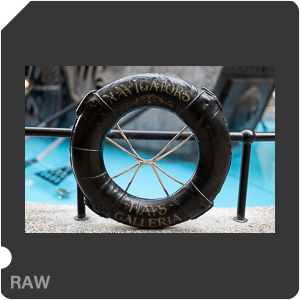 RAW sample