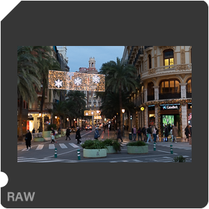 RAW sample