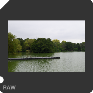 RAW sample