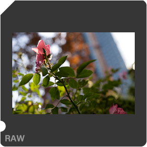 RAW sample