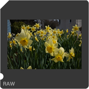 RAW sample