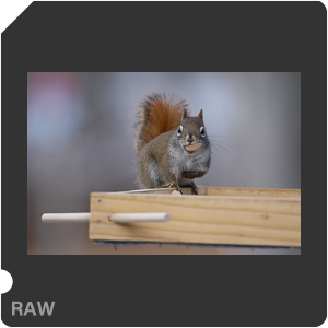 RAW sample