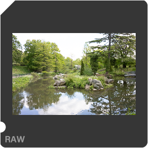 RAW sample
